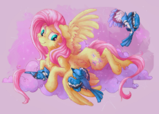 3773070__safe_artist-colon-thunderball_derpibooru+import_fluttershy_bird_blue+jay_pegasus_pony_g4_chest+fluff_cloud_cute_image_jpeg_on+a+cloud_sky_smil.jpeg