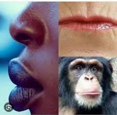 euromokeylips.jpg