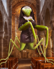 The-Praying-Mantis-Nun-in-Church-126006.jpg