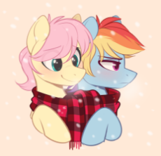 shydash.png