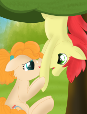 1736203__safe_artist-colon-skyflys_bright mac_pear butter_brightabetes_brightbutter_colored pupils_cute_daaaaaaaaaaaw_female_freckles_holding hooves_lo.png
