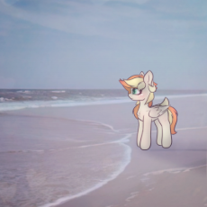 7376973__safe_artist-colon-sodapop+sprays_imported+from+derpibooru_oc_oc+only_oc-colon-sodapop+sprays_pegasus_pony_beach_existential+cr.png