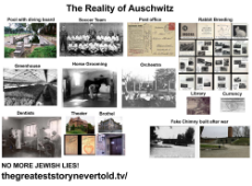 The_Reality_of_Auschwitz.jpg