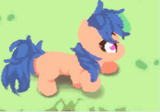 Animation.gif