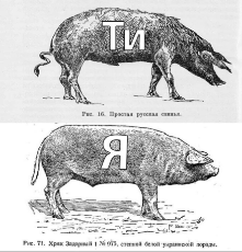 17579663739350.jpg