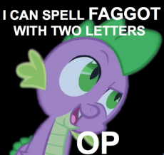 mlfw5274-I_can_spell_faggot_with_2_letters.jpg