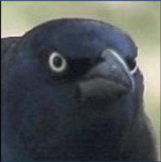 1658595555841114.png