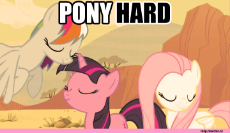 pony_hard.gif