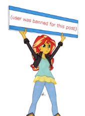 1473692__safe_artist-colon-manly man_edit_sunset shimmer_equestria girls_colored pencil_meme_meta_protest_sign_simple background_solo_sunset's board_.png