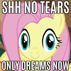 IMG_7897.png