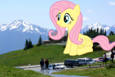 fluttershy__more_beauty_than_the_eye_can_behold_by_flutterbatismagic_d6uapea-fullview.jpg