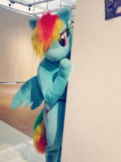 1357505__safe_artist-colon-rogerdaily_rainbow+dash_bronyonly_clothes_convention_cosplay_costume_fursuit_human_irl_irl+human_photo_solo.jpeg