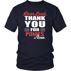 pony-shirt-dear-lord-thank-you-for-pony-amen-pets-t-shirt_2000x.jpg