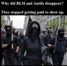 why-blm-and-antifa-stop-showing-up-not-getting-paid.jpeg