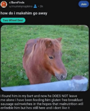 GpKfQg5W8AASSDq.jpg