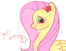 3672636__artist+needed_safe_derpibooru+import_fluttershy_pegasus_pony_g4_female_image_mare_png_simple+background_solo_white+background.png