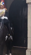 horse-nip.mp4