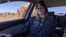They took a drive to enjoy nature.mp4