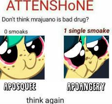 1729512__safe_artist-colon-shinodage_oc_oc-colon-apogee_oc only_angery_content-dash-aware scale_cute_drugs_marijuana_meme_squee.png
