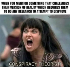 when-challenge-reality-force-them-research-conspiracy-theorist.jpeg