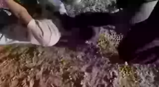 1722557634116355.webm