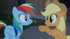 3533697.gif