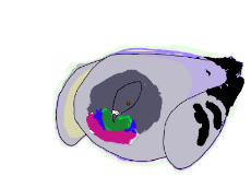 Le Pigeon.png