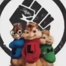 1733962325823w (1).mp4