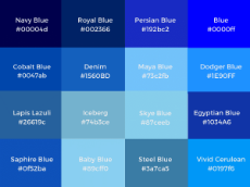 ws-color-shades-of-blue-color-600-450.png