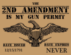 2nd_amendment.jpg