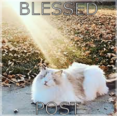 Blessed.png