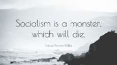 3065322-Janusz-Korwin-Mikke-Quote-Socialism-is-a-monster-which-will-die.jpg