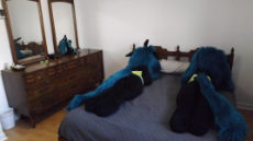 DSCF5288.JPG