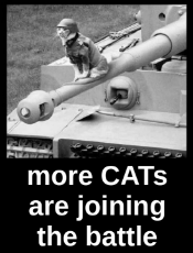 thompson_uk-cats-join-battle.jpg