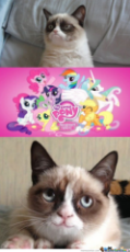 first_smile_of_grumpy_cat_with_my_little_pony_by_limanyan-d67sp2p.png