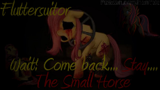 my_little_amnesia__fluttersuitor__the_small_horse__by_ppgdblossom-d5makpp.jpg