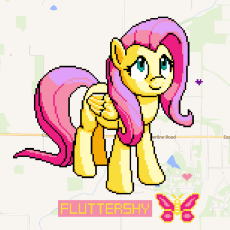 full (7).png