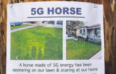 5ghorse-1820479038.jpg