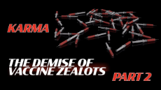 Karma - The Demise of Vaccine Zealots - Part 2 - (POSTER).jpg