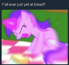 yall-ever-just-yell-at-bread-v0-z8hkfq1kbnec1.jpeg