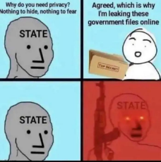 why-privacy-nothing-to-fear-leaking-government-files-state.jpeg