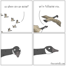 ohe0s6dxynz71.jpg