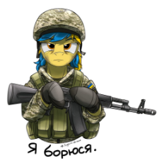 ukraine - pony soldier.jpg