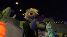 Snapshot_303.png