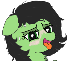 anonfilly - t.png