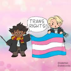 Trans Rights.jpg