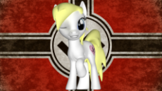09_aryanne_nazi_flag_by_kineticmaelstrom-dcmsbft.png