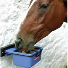 horslyx-horse-lick-holder-….jpg