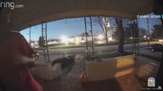 Ring camera footage shows Darryl Brooks asking residents for help before police arrest him [vn2k4j].mp4