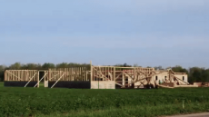 Amish barn raised in one day.gif